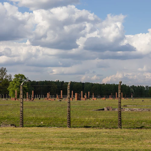 Auschwitz-Birkenau: tour guiado + transporte - Photo 4