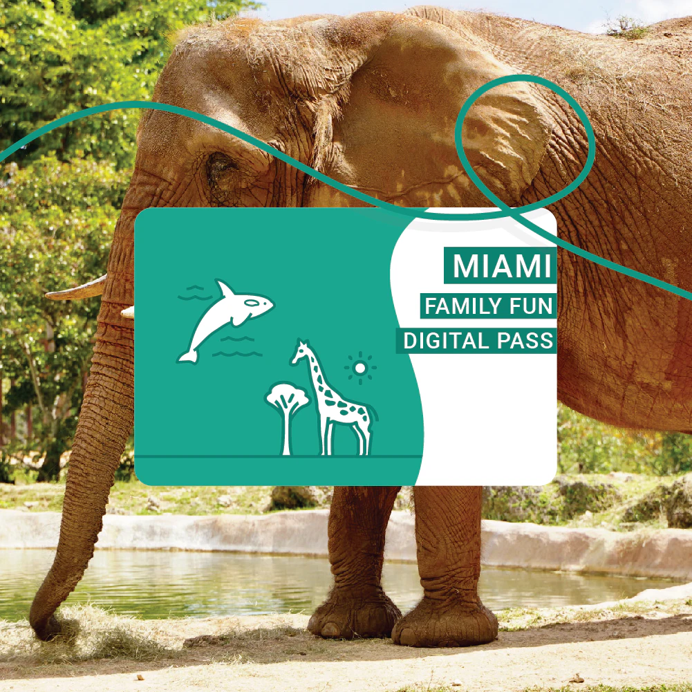 Miami Family Fun Package
