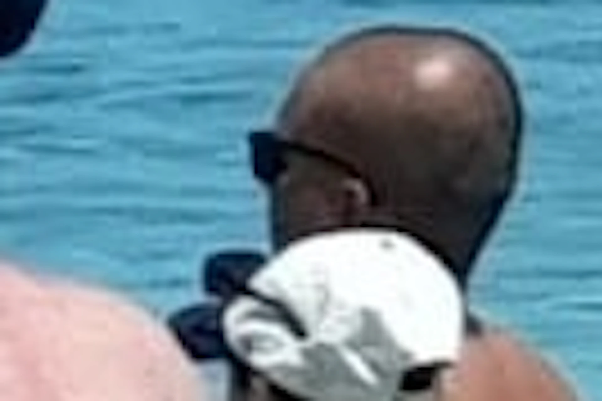 Rose Island's Swimming Pigs