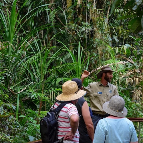 Cairns: Teleférico Skyrail Rainforest