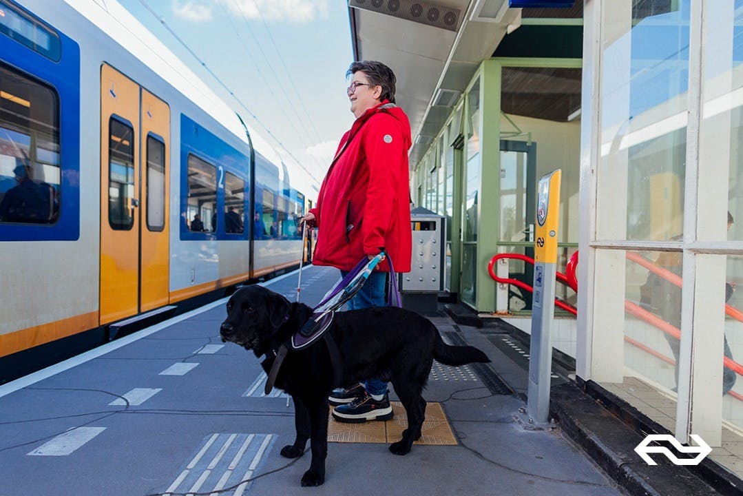 Dutch Railways train