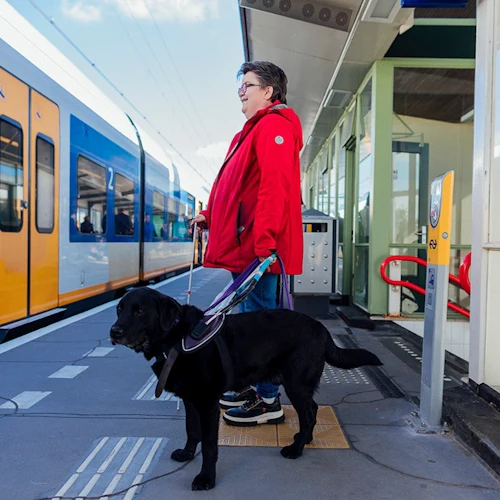 Roterdã: Traslado de trem de/para Leiden - Photo 14