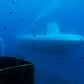 Experimente o submarino descendo a aproximadamente 30 metros!