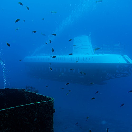 Atlantis Cozumel: Experiencia en submarino