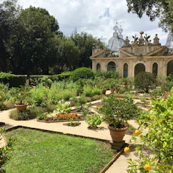 En frodig trädgård med krukväxter och blommor framför en utsmyckad, historisk byggnad med kupolformade glasstrukturer.