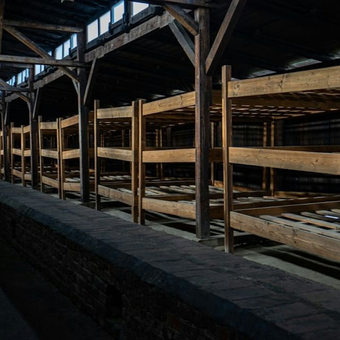 Gallery image 6