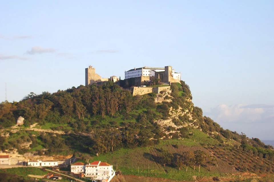 Full Day Wine Tour from Lisbon