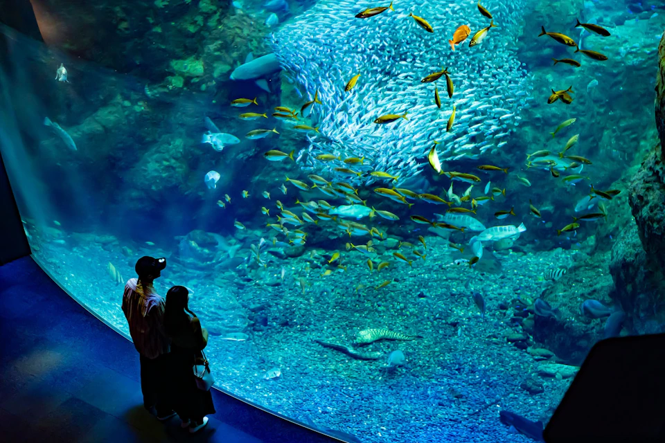 Enoshima Aquarium