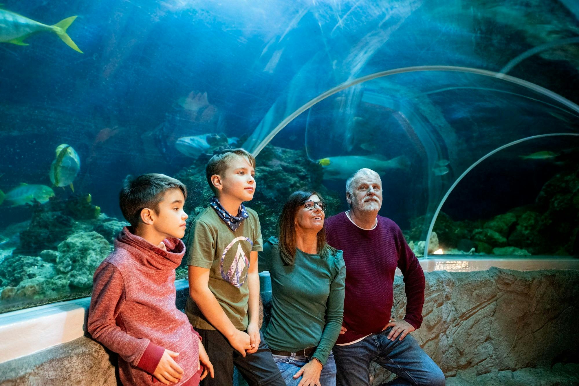 A family of four stands inside an aquarium tunnel, watching marine life swim overhead.