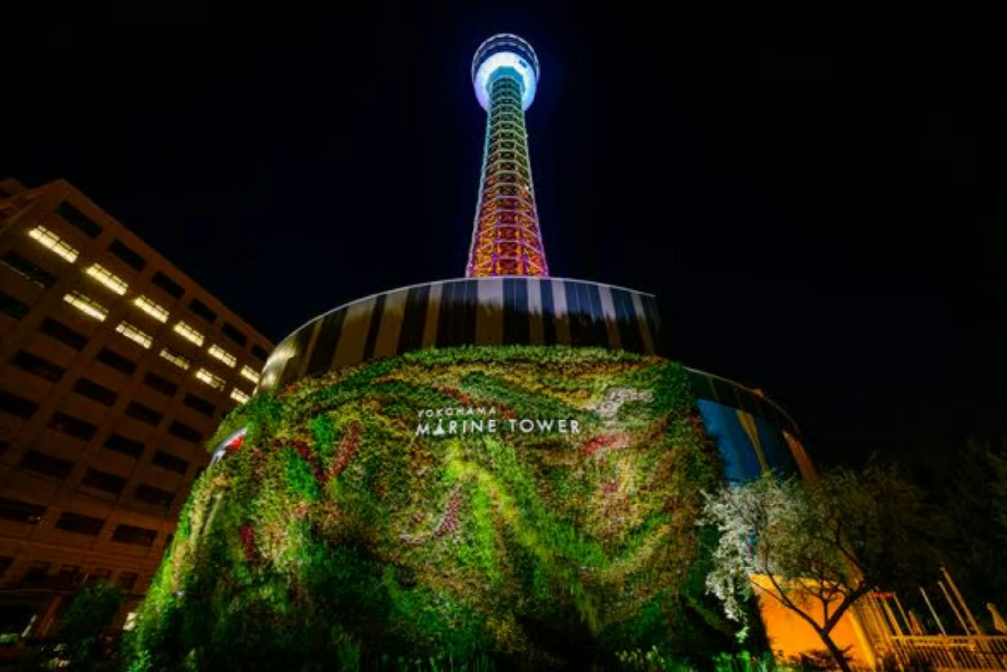 Yokohama Marine Tower: Observation Floor Entry Ticket