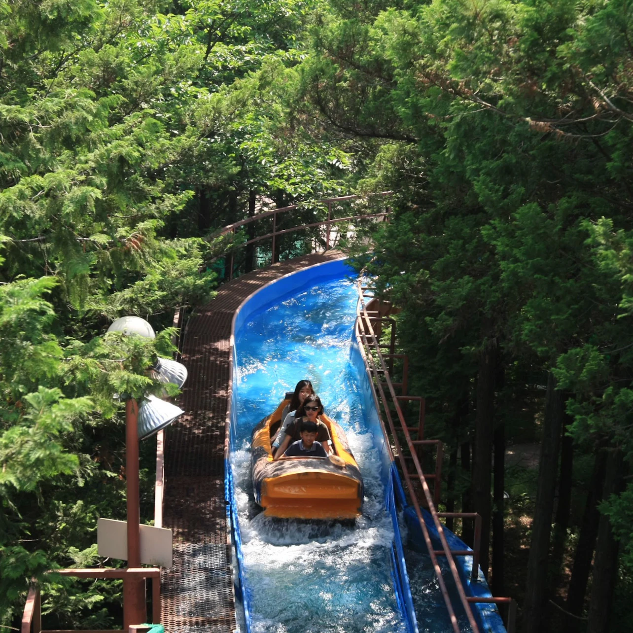 Seoulland: Entry Ticket + Sky Lift Ride + Seoul Zoo in Seoul β Tiqets