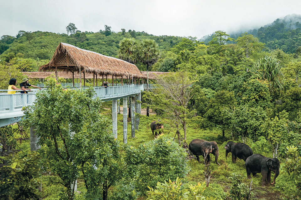 A raised, thatched-roof walkway overlooks elephants grazing in a lush, green jungle setting.