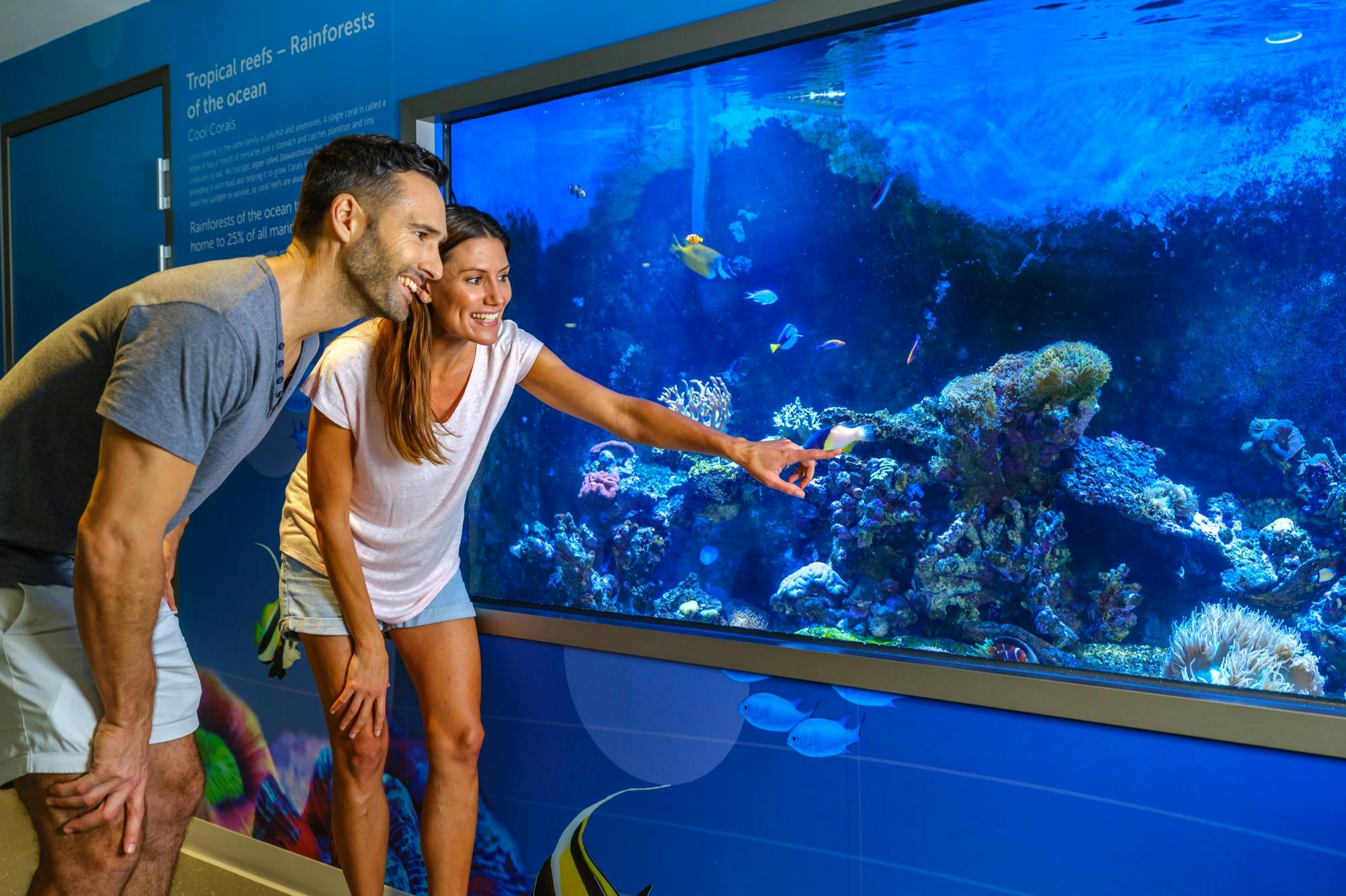 강에서 산호초에 이르기까지 다양한 해양 환경이 전시되어 있습니다.