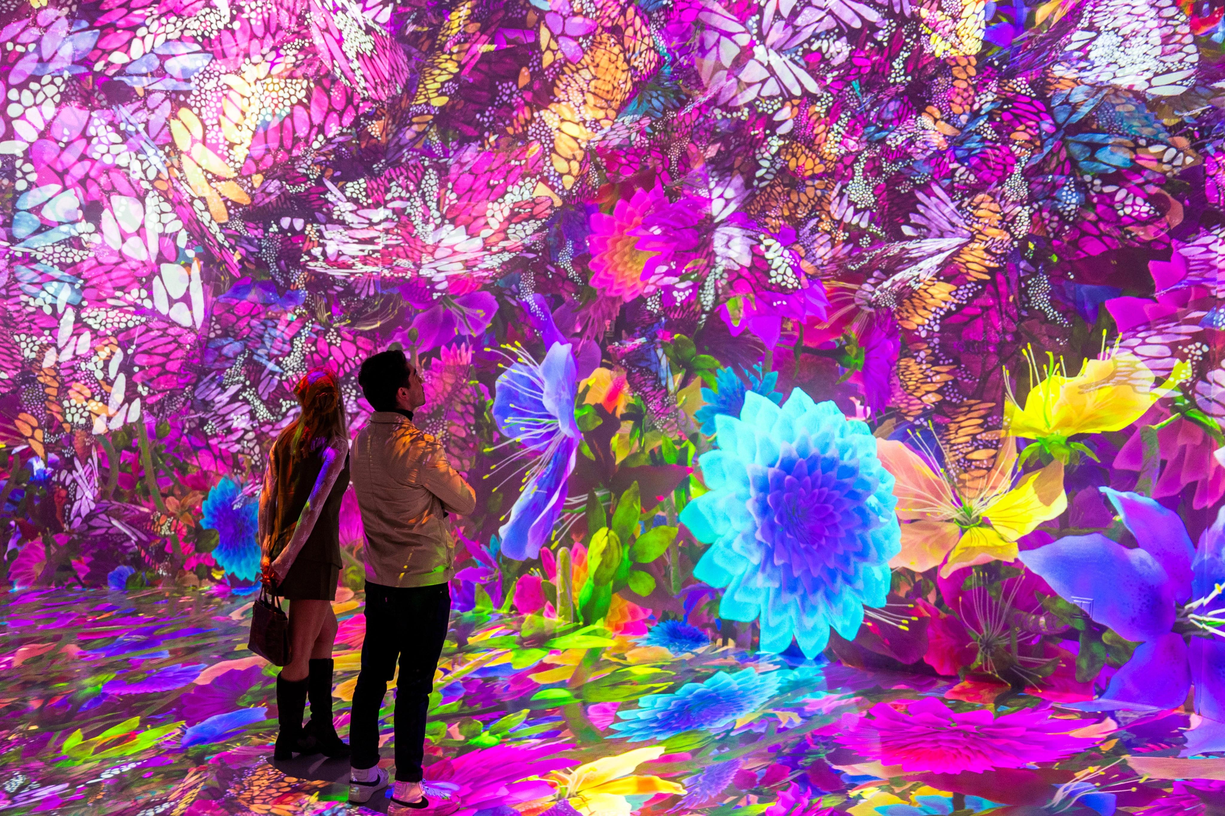 ARTECHOUSE Houston: bilhete de entrada