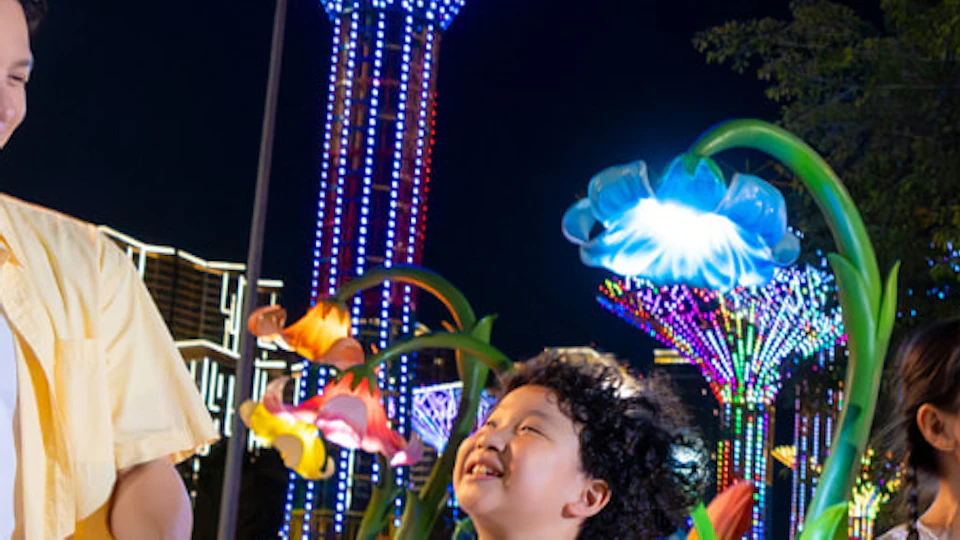 A family of four holding hands and smiling while walking through a brightly lit garden at night with colorful decorations.