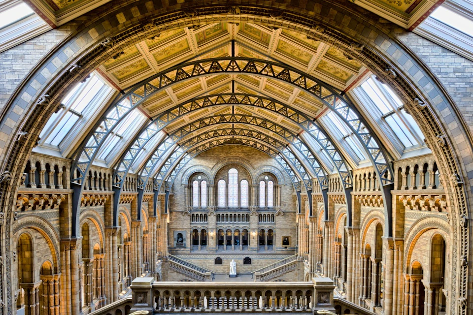 Inside the Natural History Museum
