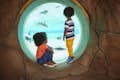 Two children watching the penguins through a bubble window