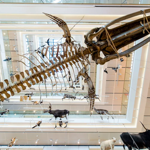 MUSE - Museum of Science: Entry Ticket - Photo 2