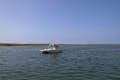 Exploring the channels of Ria Formosa on our Eco Boat Tour from Faro using a solar-powered boat.