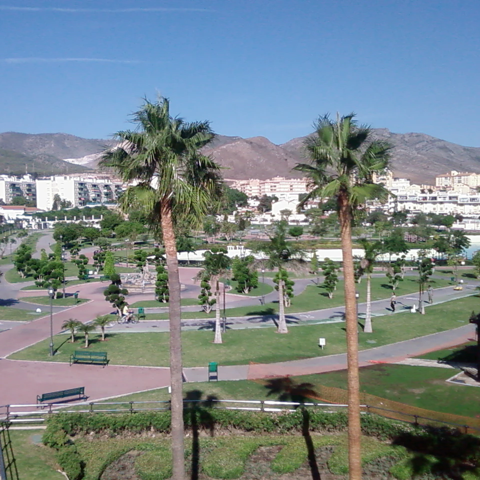 A park with palm trees, pathways, and benches, set against a backdrop of buildings and mountains under a clear blue sky.