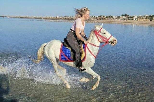 Tour a cavallo di due ore Sole e mare con trasferimento - Hurghada