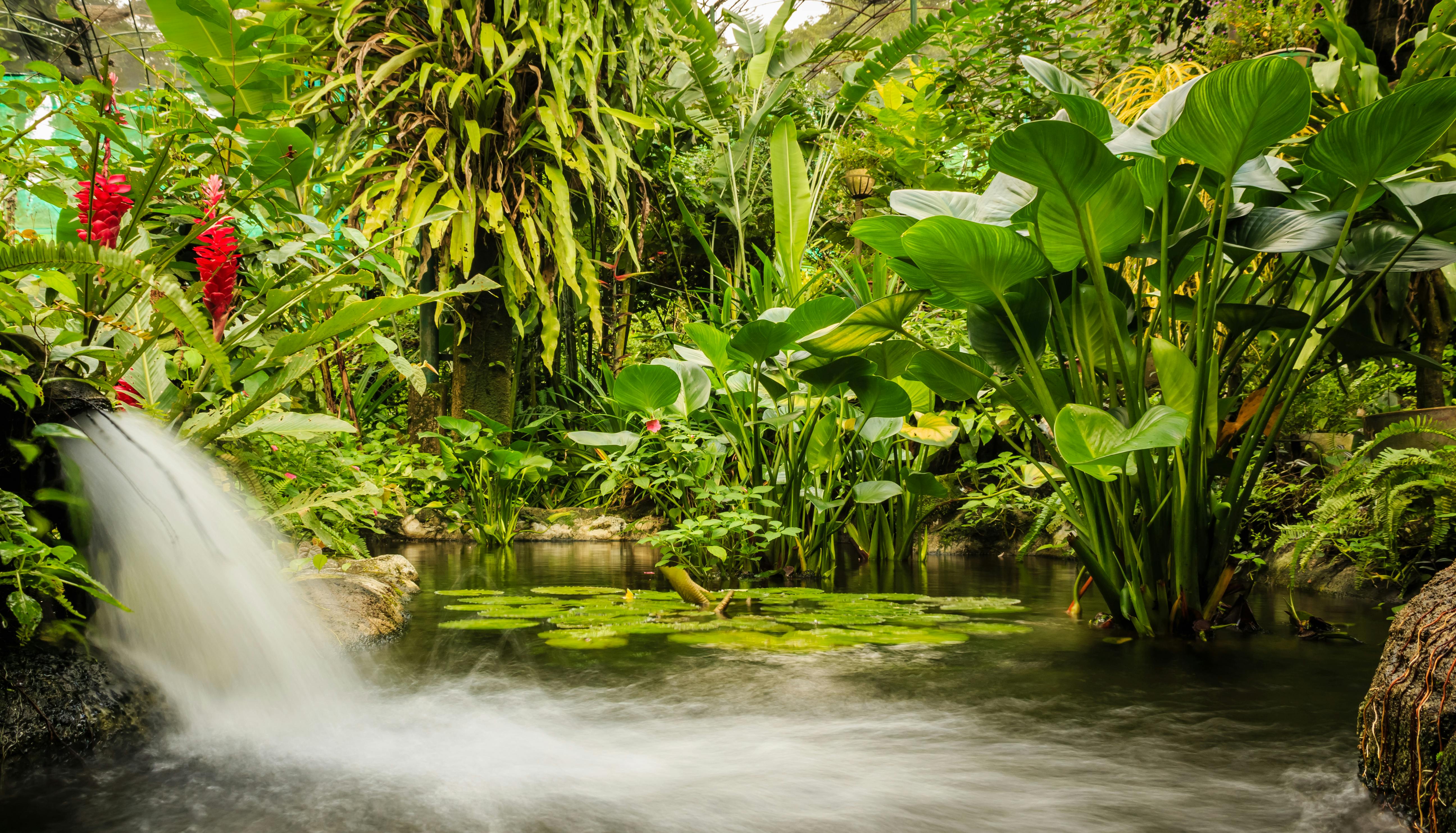 Kuala Lumpur Butterfly Park Tickets  Kuala Lumpur  Tiqets.com