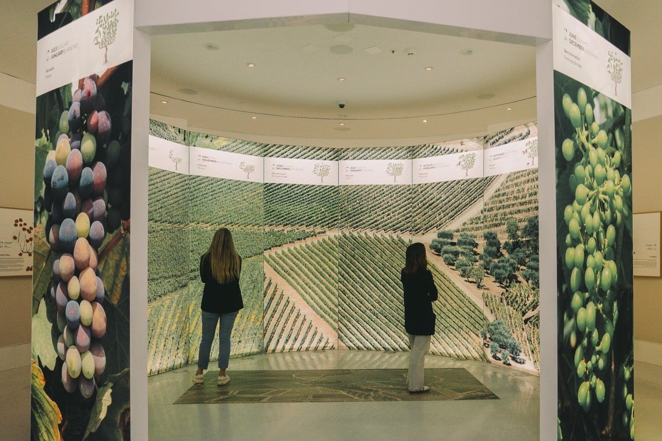 Two people in a gallery viewing a large panoramic photo of a vineyard.