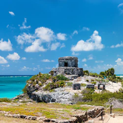 Tulum: Snorkeling with Turtles in Akumal + Mariposa Cenote + Lunch + Transfer