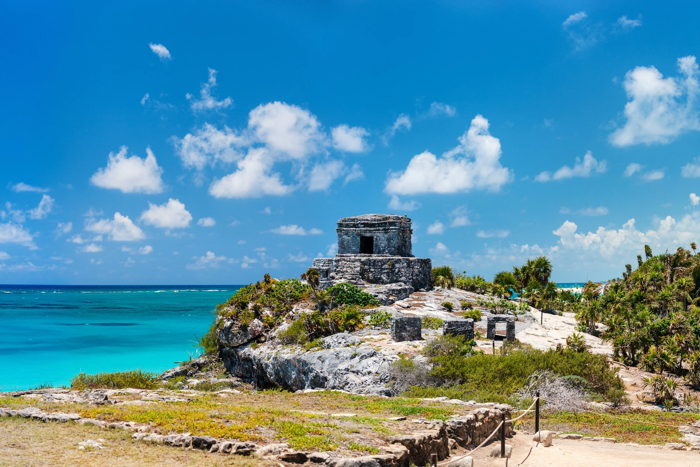 Tulum: Snorkeling with Turtles in Akumal + Mariposa Cenote + Lunch + Transfer