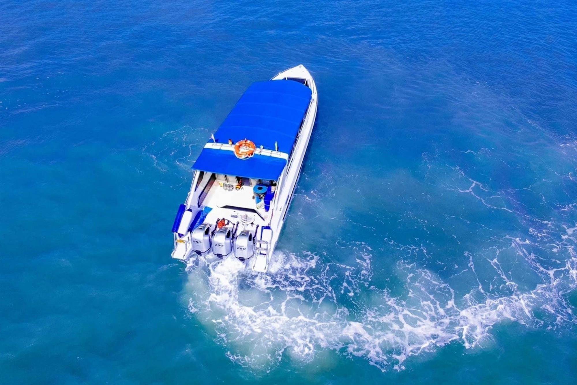 Get on our comfortable speedboat.