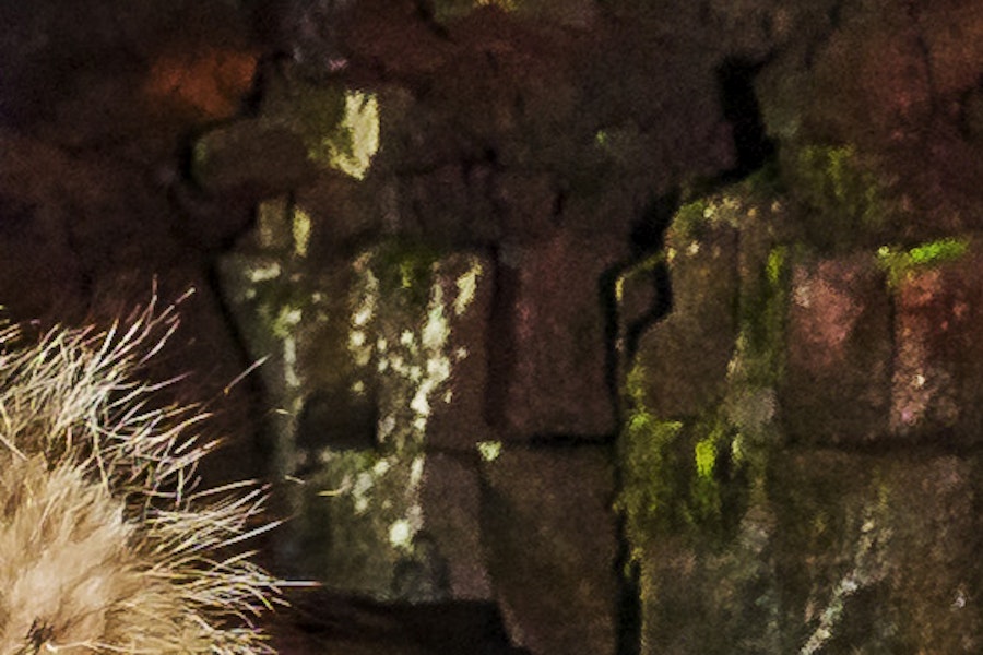 Gidsrondleiding in de lavatunnel met transfers