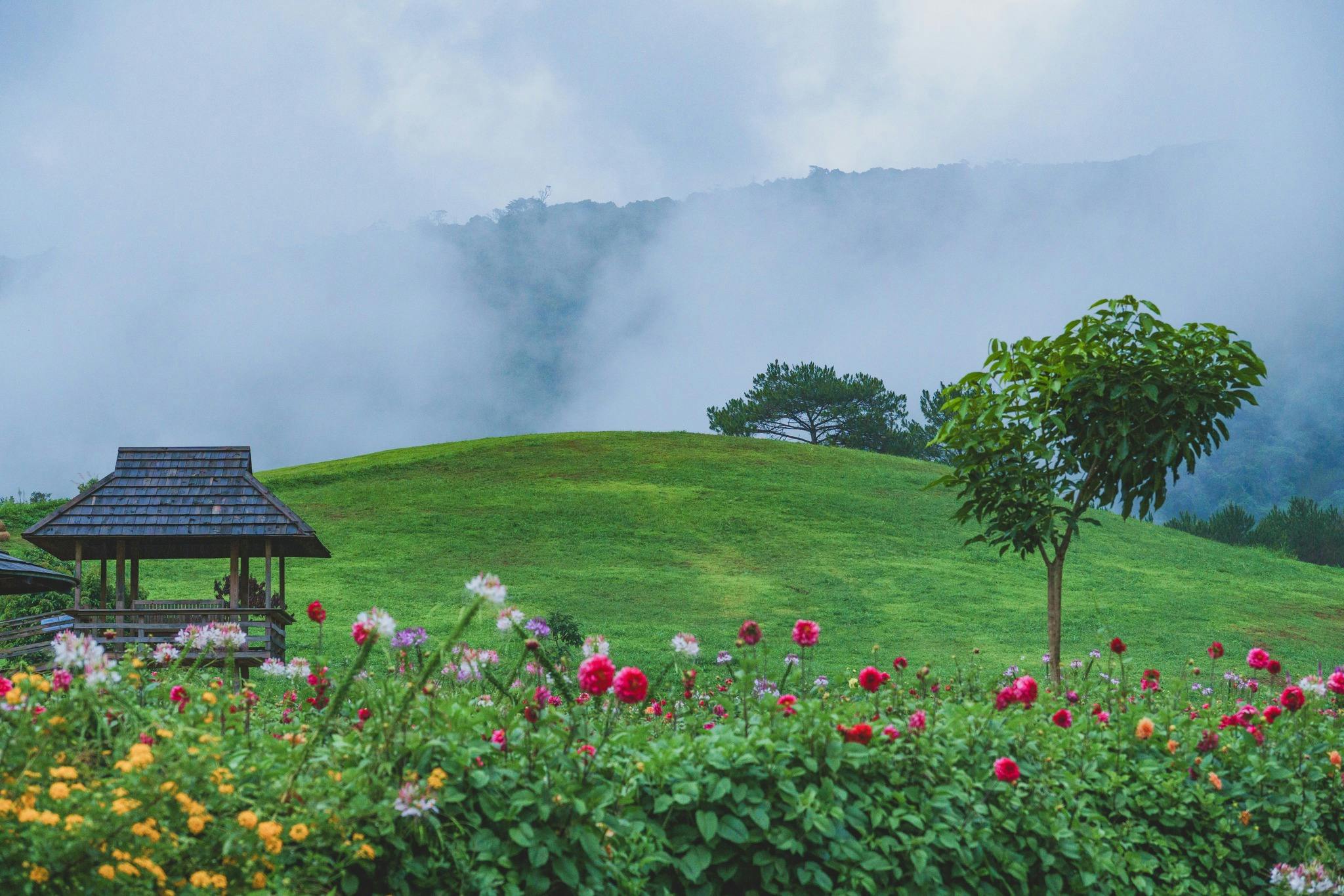 A lush green hill with colorful flowers in the foreground, a tree, and misty mountains in the background.