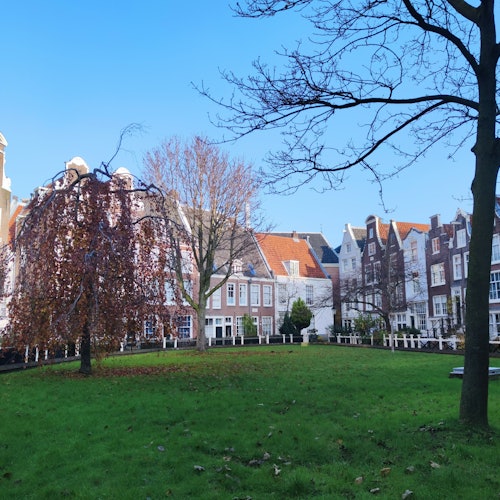 アムステルダムの歴史の秘密：グルメのおすすめ付きガイド付きツアー(即日発券)