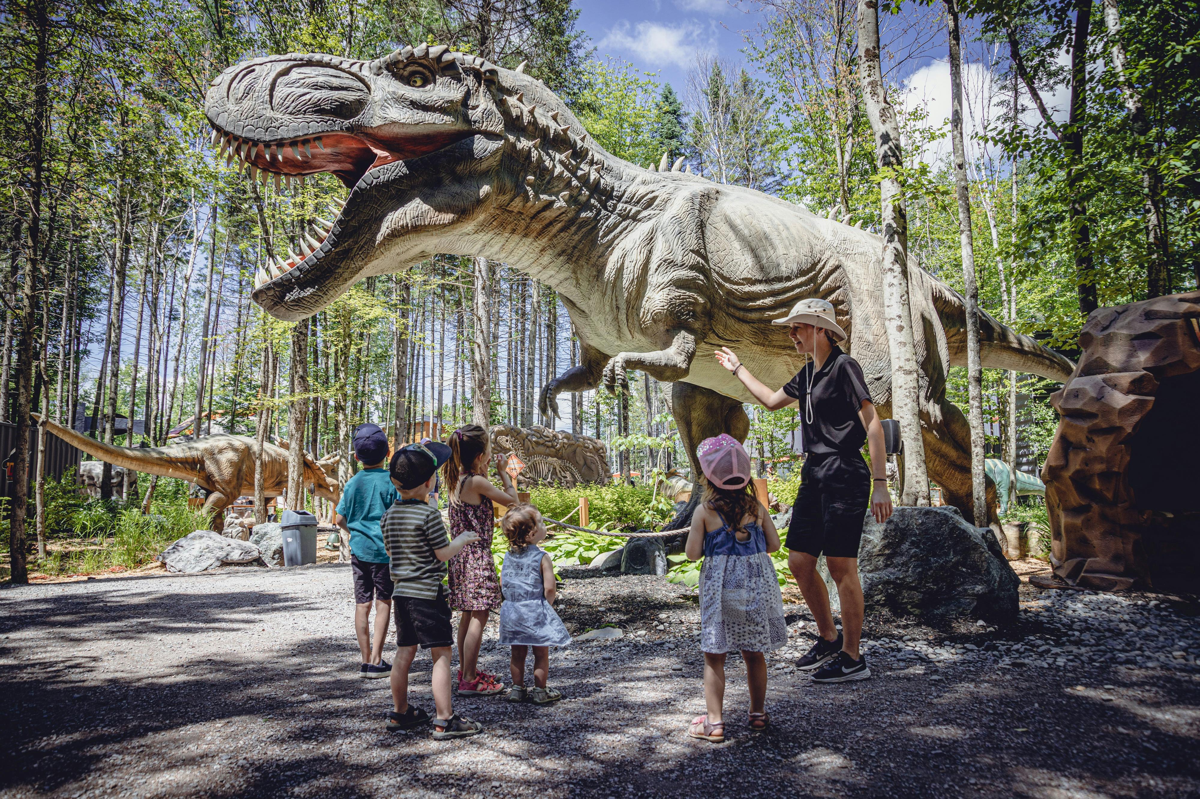 Vol 315, l'ère des dinosaures