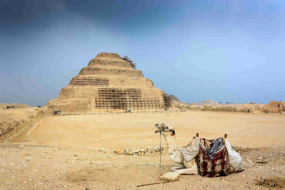 A camel resting in the desert near the Step Pyramid of Djoser in Egypt, with scaffolding visible on the pyramid.
