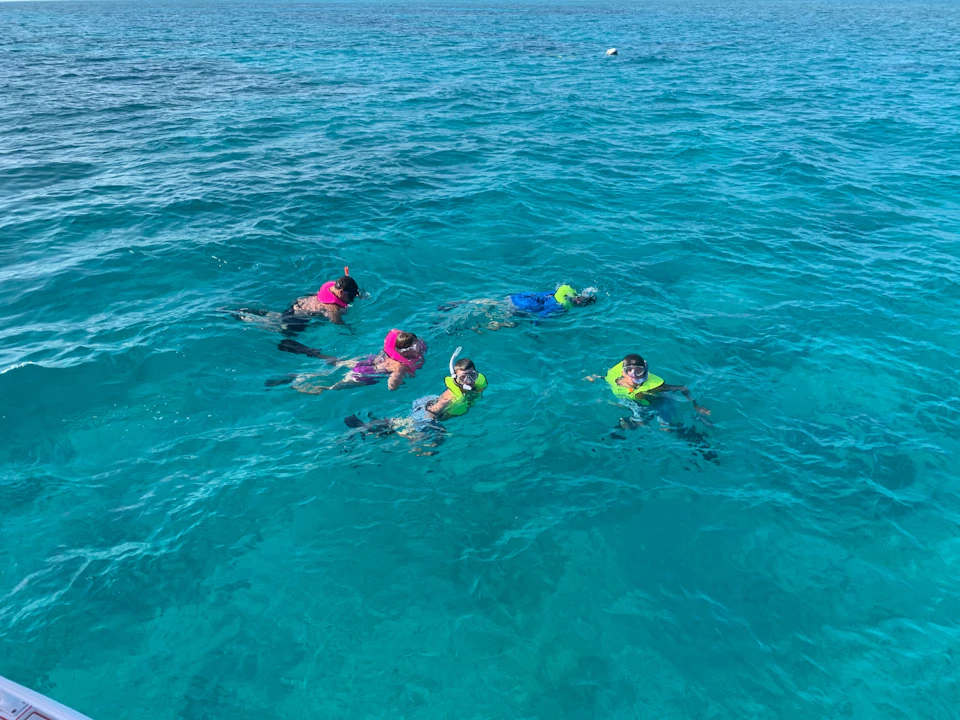 Four people snorkeling in clear blue ocean water, wearing colorful life vests and snorkel masks.