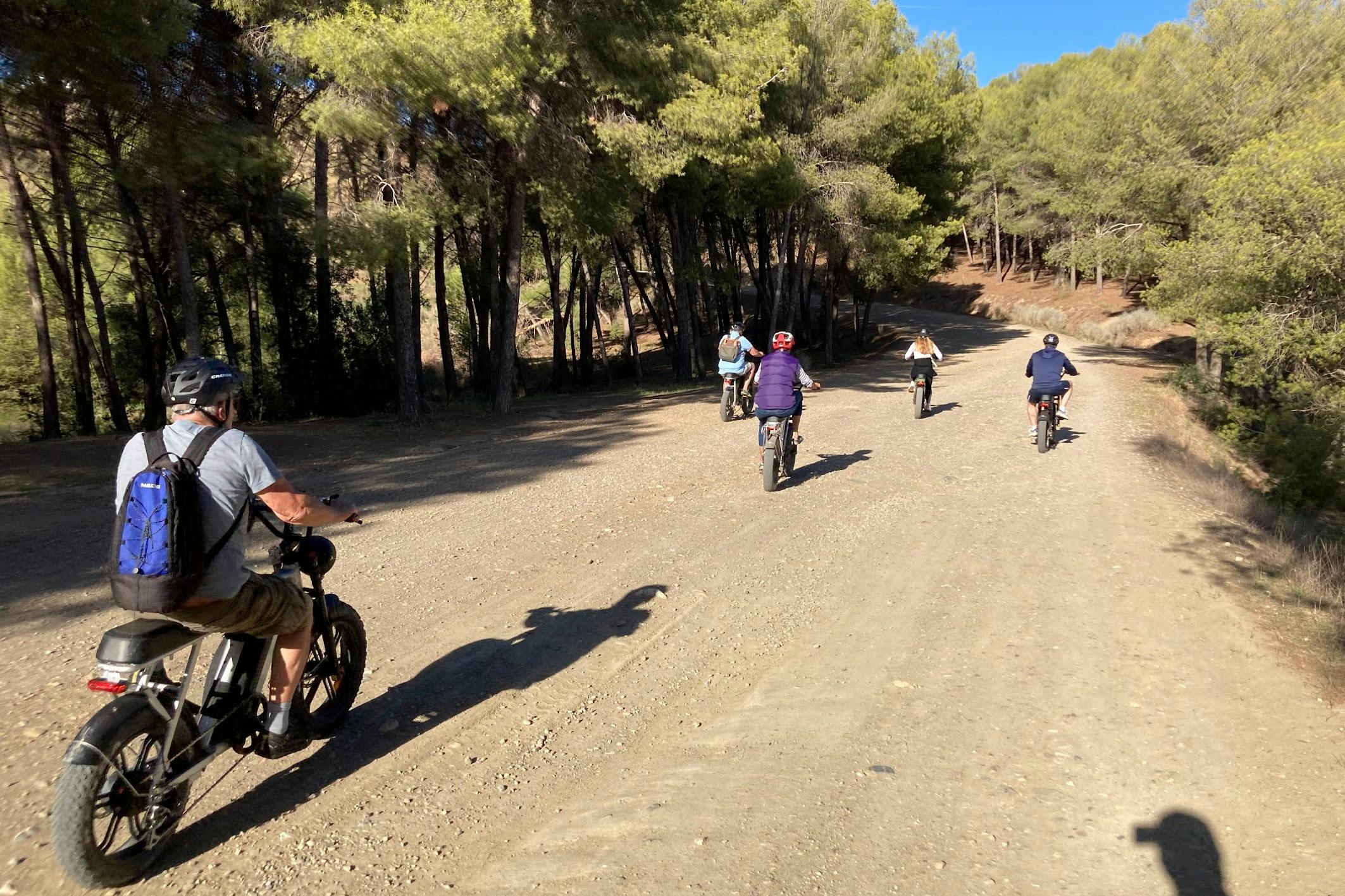 Málaga: Aluguer de bicicletas E-Fat por 4 horas - Photo 7