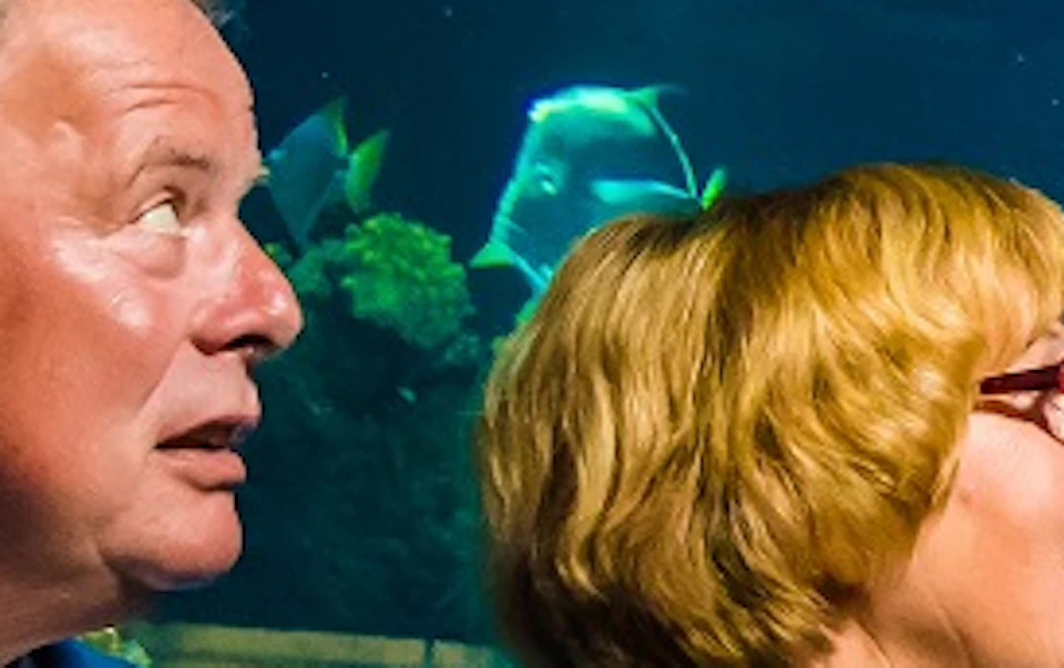 SEA LIFE