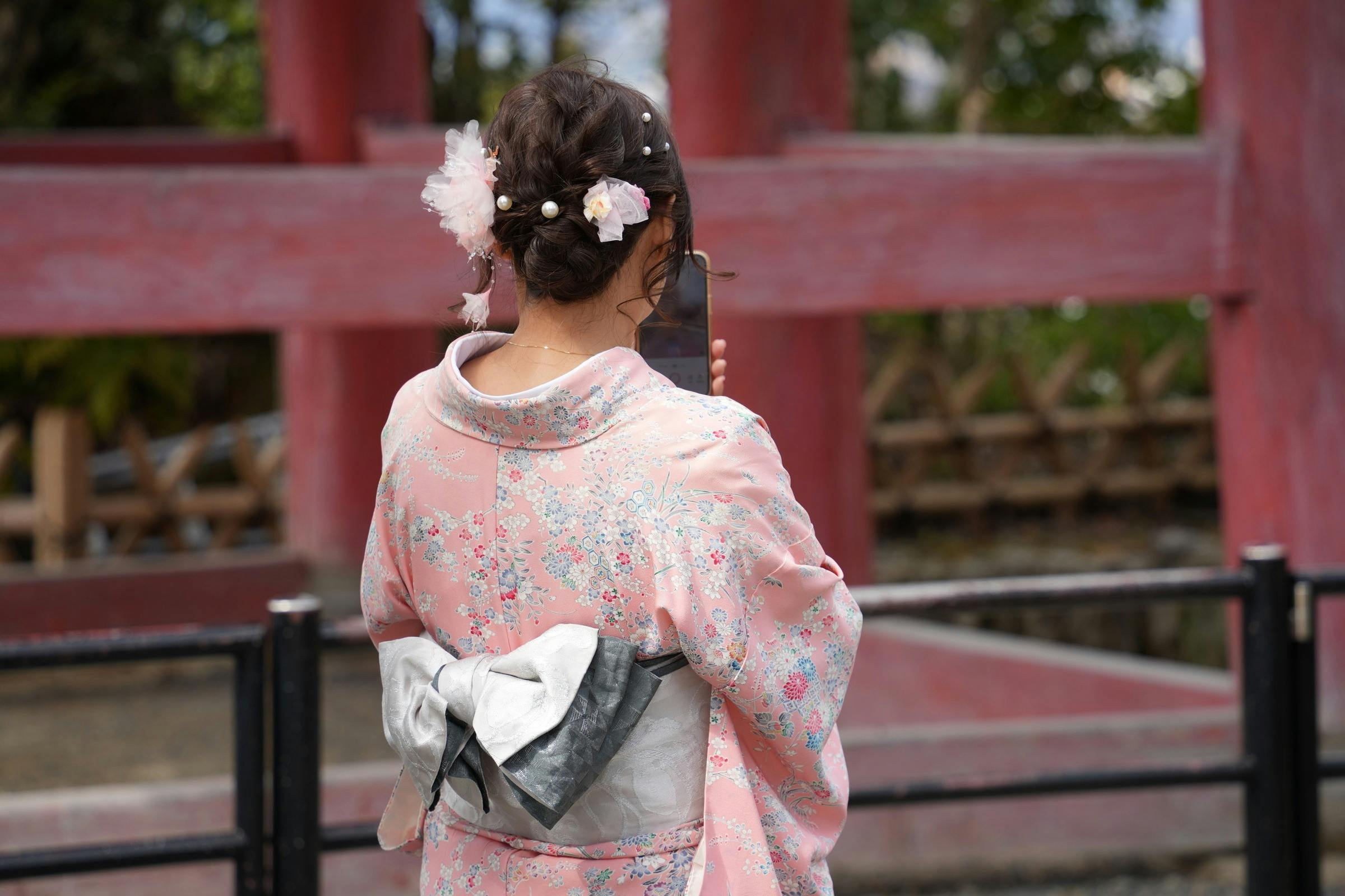 Kyoto: Guided Tour + Roundtrip Bus Transfer - Photo 4