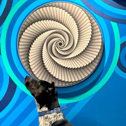 En hund som bär blått halsband tittar på en spiralmönstrad väggkonst med blå cirkulära mönster i bakgrunden.
