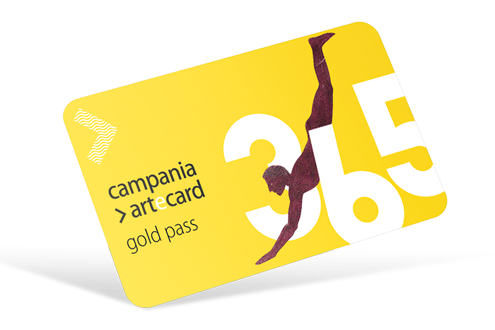 一张标有“Campania Artecard gold pass 365”的黄牌，配有潜水人物插图和大胆的排版。