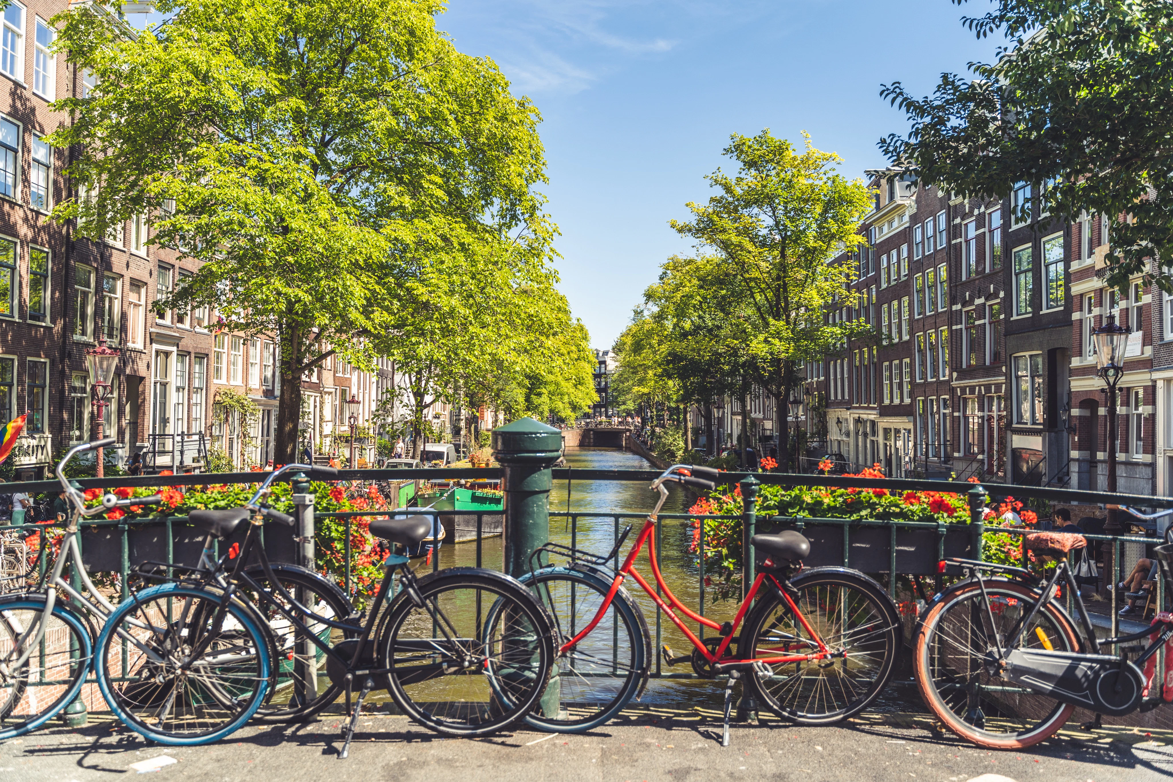 Amsterdam: Guided Walking & Biking Tour + 1-Hr Canal Cruise