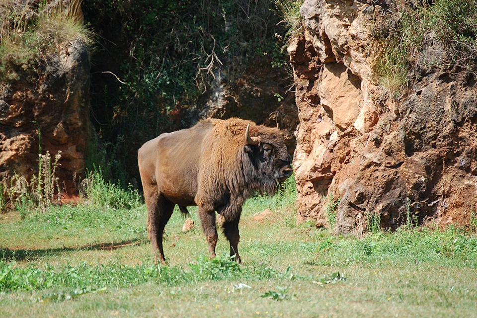 Parque de Cabárceno