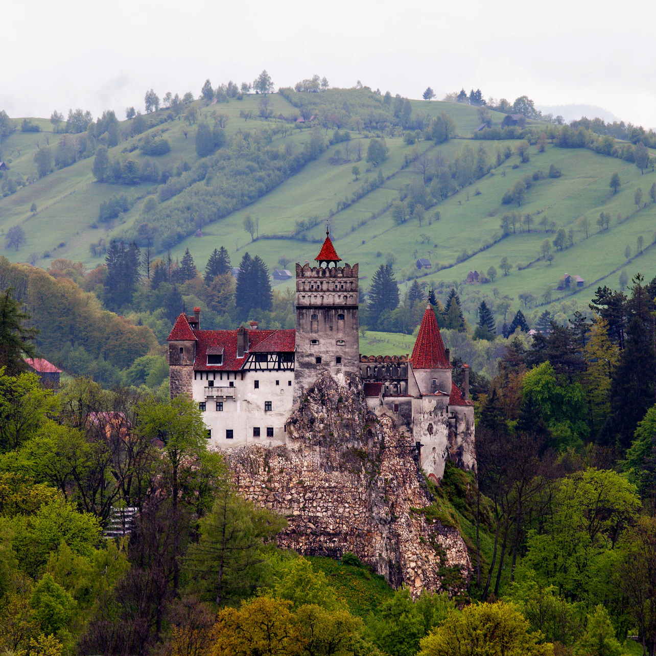 Slider Image