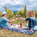 モンテプルチャーノのワインとブドウ園でピクニック