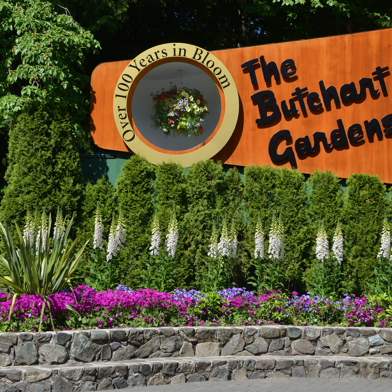 Sign for "The Butchart Gardens" surrounded by lush greenery and colorful flowers, with "Over 100 Years in Bloom" displayed in a circular frame.