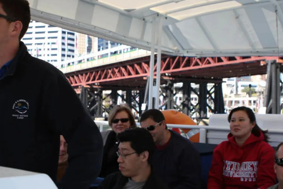 2.5hr Adventure Whale Watching Cruise