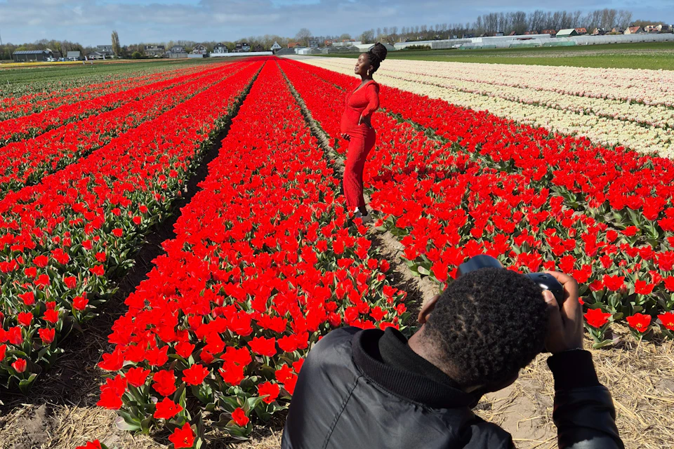 A person in a red outfit poses in a field of red tulips, while another person photographs them amidst the vibrant flowers.