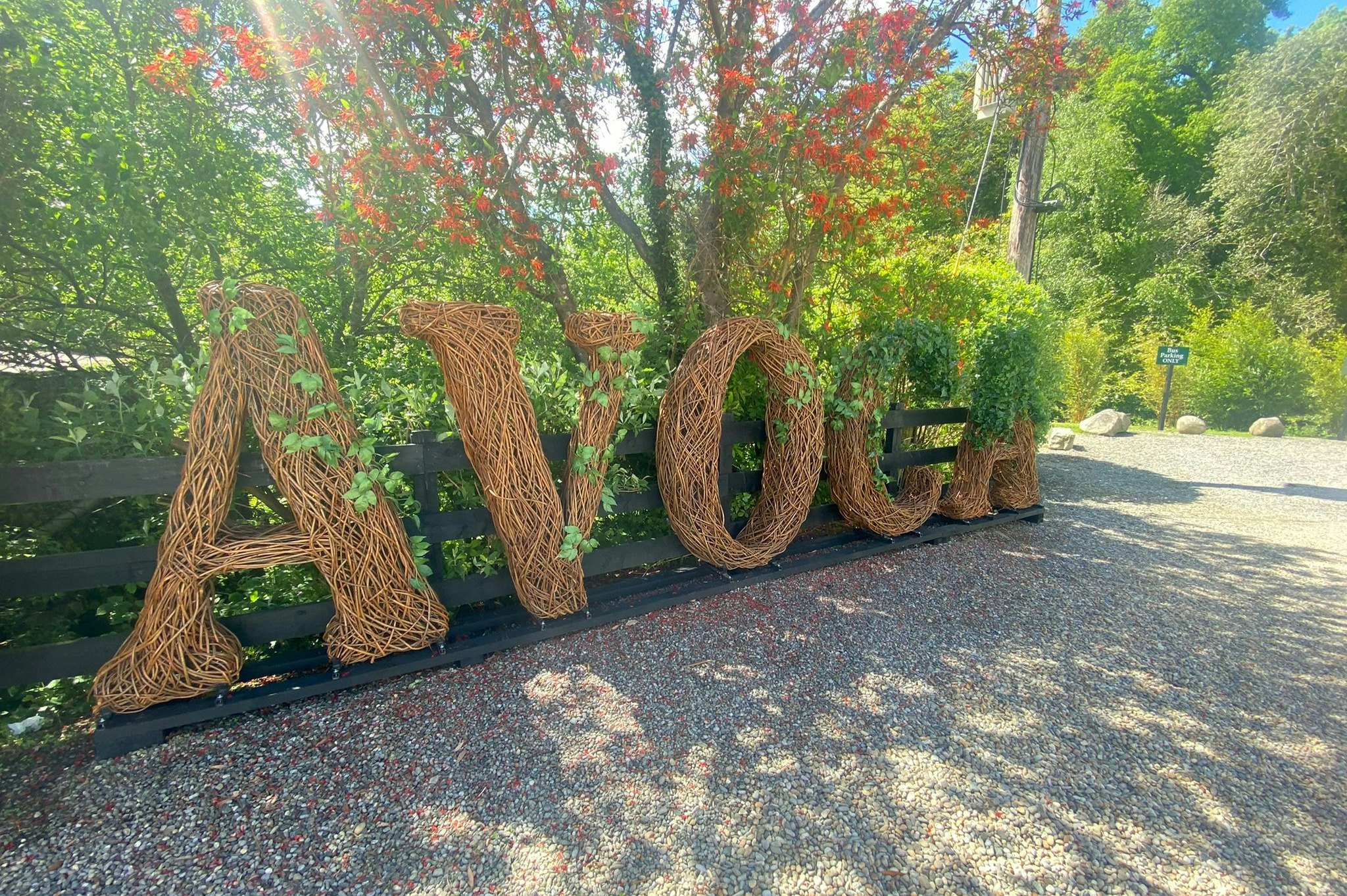 Avoca Handweavers tickets Avoca