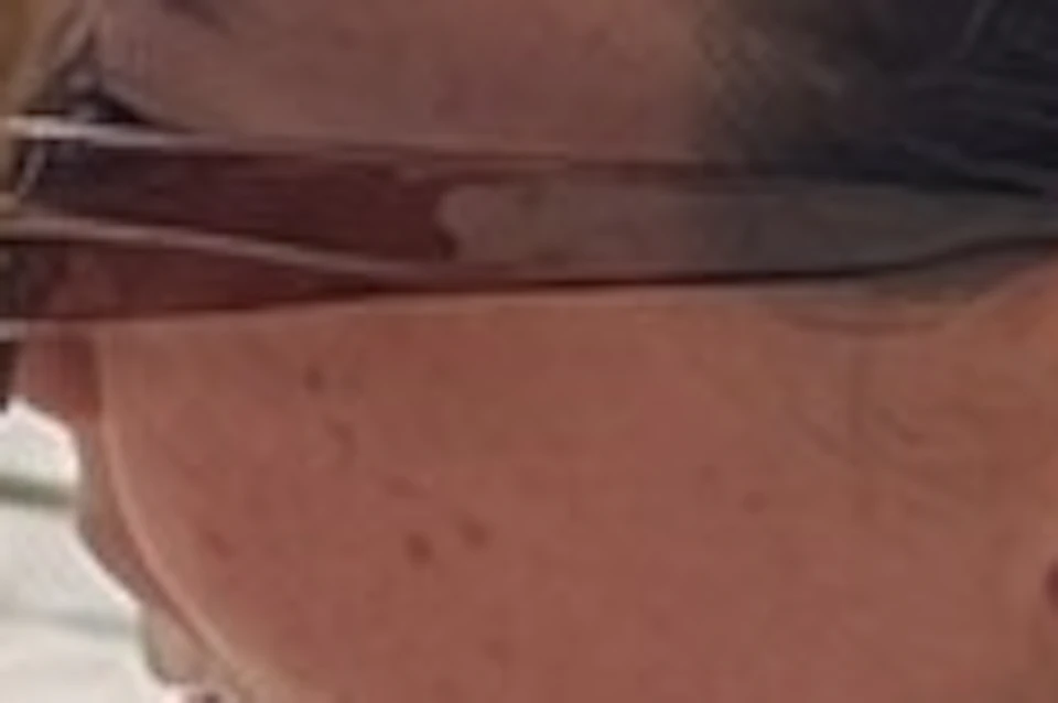 Photo of product